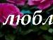 Ігор Бегдай фотография #8 (источник - https://vk.com/id109462267)