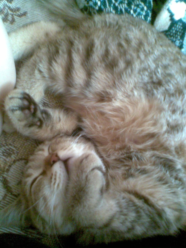 Анна Калинина фотография #41