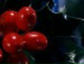 Ірусік Бучко фотография #5 (источник - https://vk.com/id138824199)