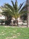 Лілія Бідочко фотография #28 (источник - https://vk.com/id170531851)