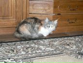 Фотография Яковлевой Лидии