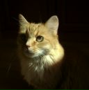 Фотография Барановой Ольги