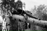 Фотография Шолоховой Олеси