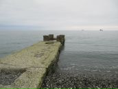 Фотография Гарибяна Артура