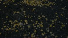 Фотография Казаковой Анастасии