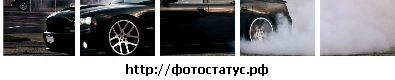 Станіслав Лань фотография #6 (источник - https://vk.com/id88586954)