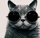 Фотография Роенко Андрея