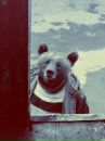 Фотография Ларина Михаила