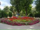Адріан Кшевецький фотография #7 (источник - https://vk.com/id156261705)