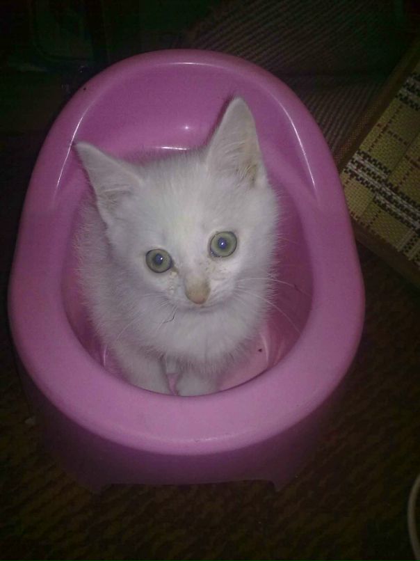 Дмитрий Киселев фотография #14