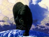 Ірина Мауль фотография #4 (источник - https://vk.com/id16405749)