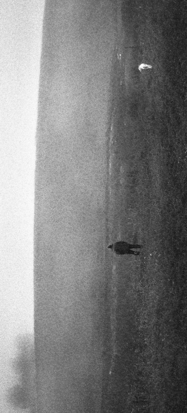 Борис Городецкий фотография #4