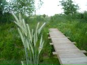 Фотография Абрамова Даша