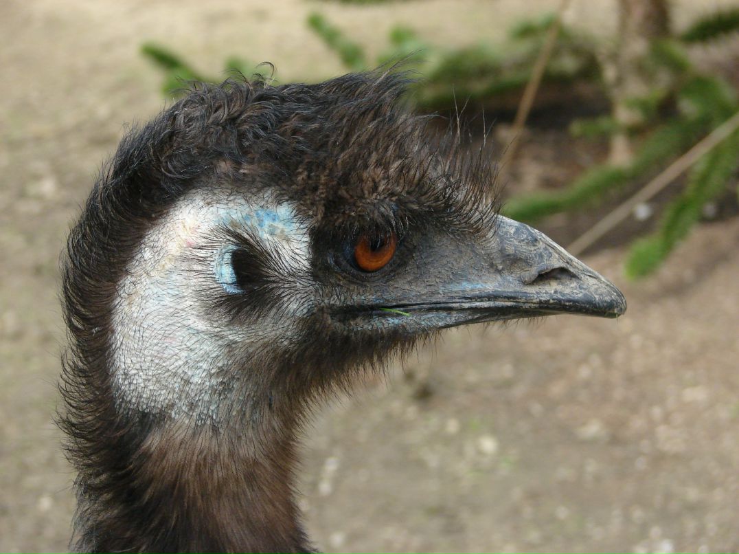 Константин Черников фотография #13