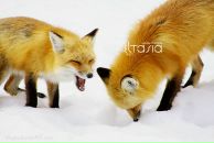 Фотография Сучковой Юлии