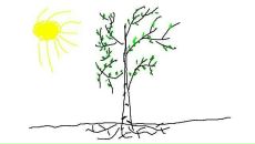 Фотография Сеничкина Николая