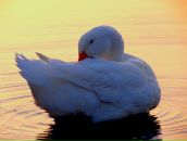 Фотография Бабина Алексея