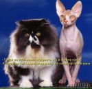 Фотография Васильевой Елены