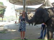 Эдуард Гараев фотография #24 (источник - https://vk.com/id2046830)