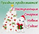 Каміла Юдицька фотография #7 (источник - https://vk.com/id134060787)