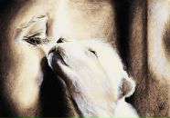 Фотография Шамрай Анастасии