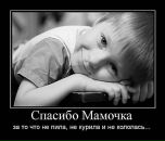 Серега Апілат фотография #22 (источник - https://vk.com/id29340156)
