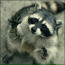 Фотография Hazart Jekkss