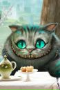 Фотография Котова Анастасия