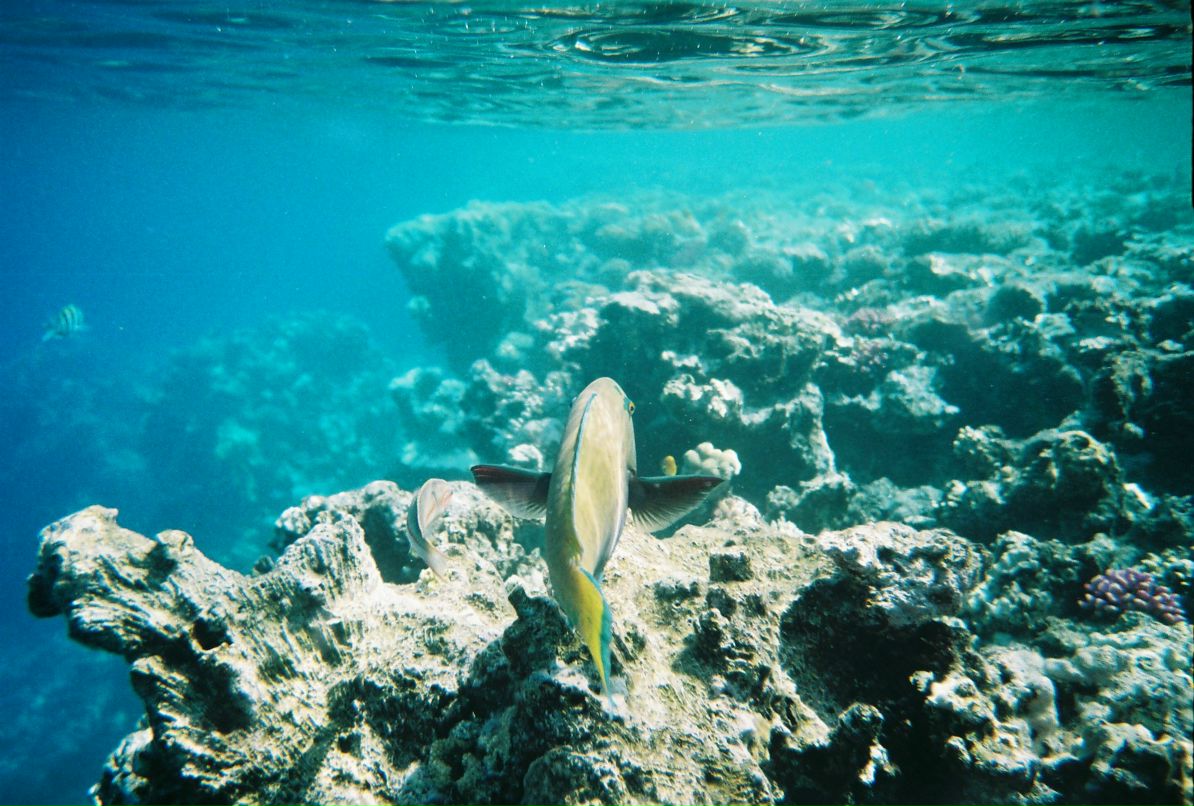 Александр Кадыкеев фотография #41