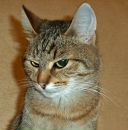 Фотография Выражейкинга Alessandro