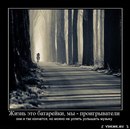 Саша Овсянніков фотография #27 (источник - https://vk.com/id151643350)