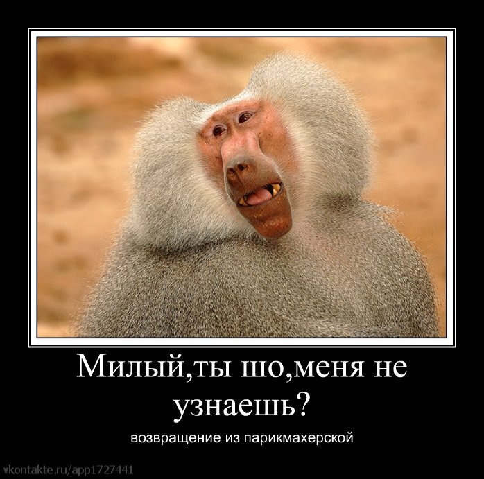 Дмитрий Бацаев фотография #36