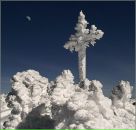 Фотография Александровны Екатерины