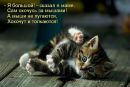 Катюшка ***♣*** фотография #13 (источник - https://vk.com/id125139006)