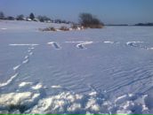 Міша Грабар фотография #20 (источник - https://vk.com/id68348988)