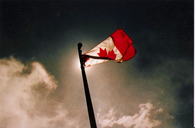 Roman R фотография #24