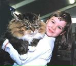 Фотография Костенко Евгений