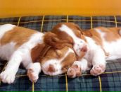 Фотография Дерендяевой Оли