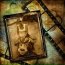 Фотография Власовой Анюты