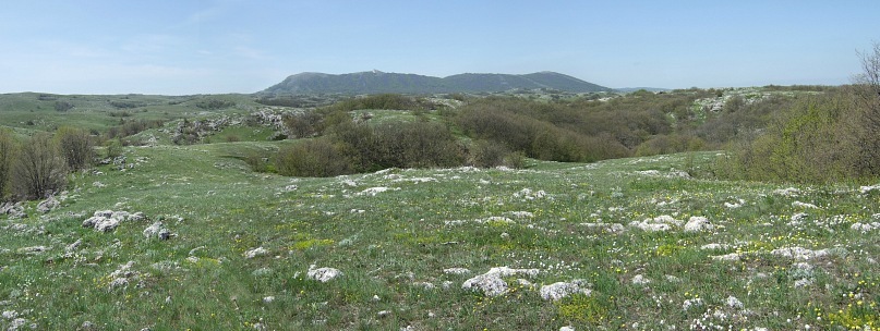 Ihawk Ihawk фотография #19