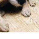 Діма Стоцький фотография #32 (источник - https://vk.com/id78186447)