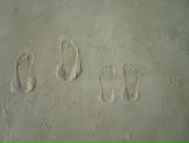 Фотография Пацкалёвой Яны