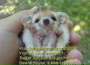 Фотография Ивановой Анны