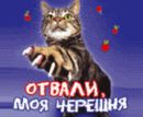 Іван Василенко фотография #8 (источник - https://vk.com/id132258606)