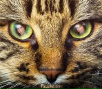 Фотография Соловьевой Анны