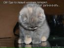 Фотография Маянцева Романа