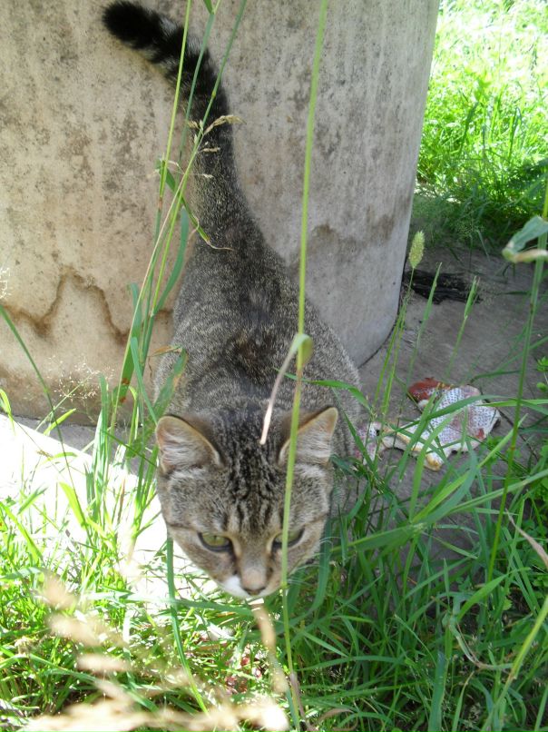 Коля Васихин фотография #22