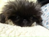 Фотография Богославского Андрея