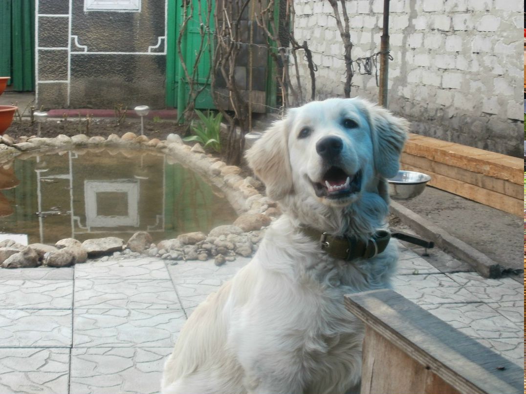 Иван Мозоля фотография #44