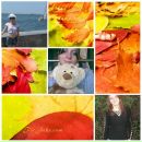 Фотография Муровой Екатерины